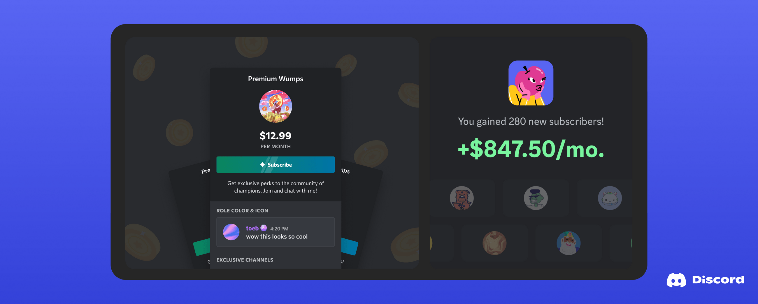 Server Subs 101 Earning Money on Discord